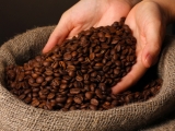 Tổng hợp thị trường cà phê tuần 45 (08/11/2021 – 13/11/2021)